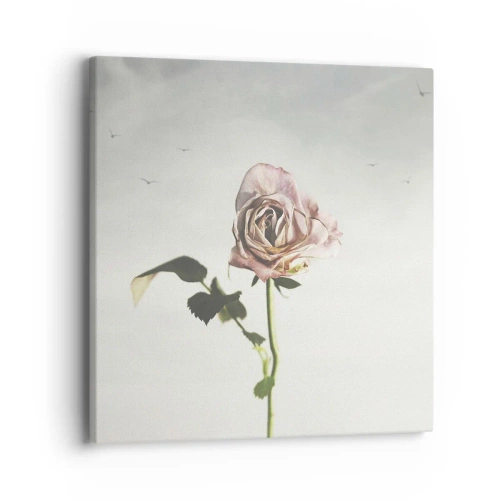 Obraz na plátně - Vítání jara - 40x40 cm