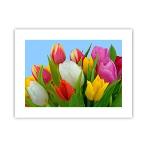 Plakát - Květinová duha v kapkách rosy - 40x30 cm
