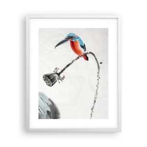 Plakát v bílém rámu - Život louky - 40x50 cm