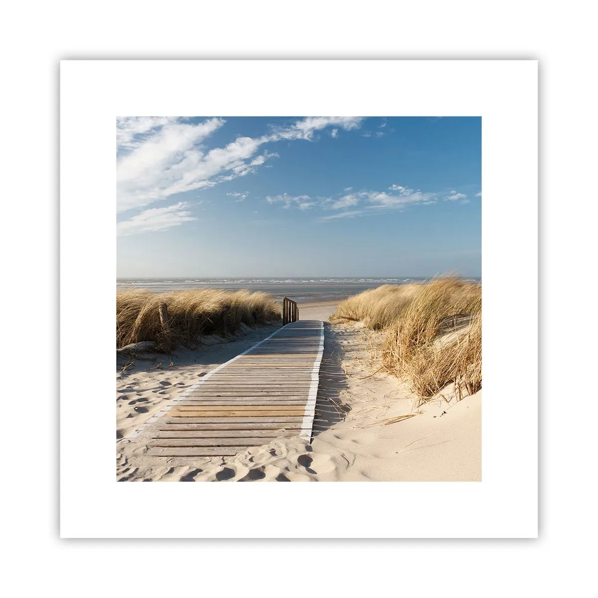 Plakát - Za dunou, v šumění trávy - 30x30 cm