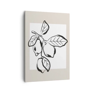 Obraz na plátně - Kde citron dozrává… - 50x70 cm