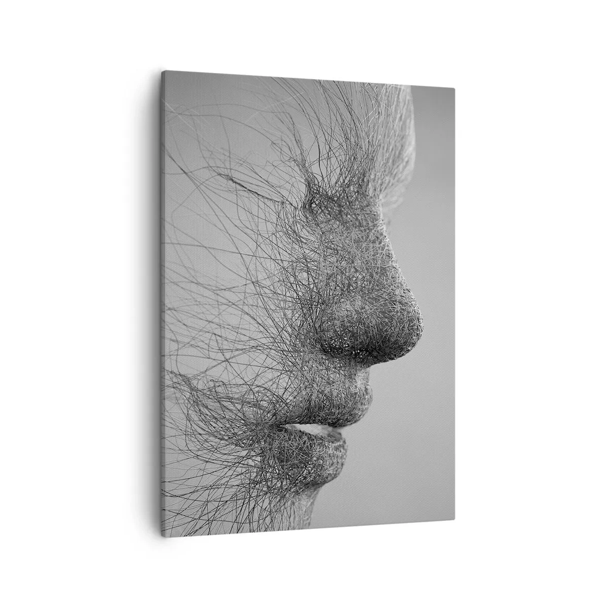 Obraz na plátně - Duch větru - 50x70 cm