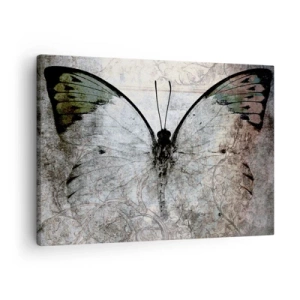 Obraz na plátně - Motýl v odstínech zelené a šedé na dekorativním pozadí - 70x50cm - V secesním stylu - Moderní nástěnná dekorace do obývacího pokoje a ložnice ARTTOR