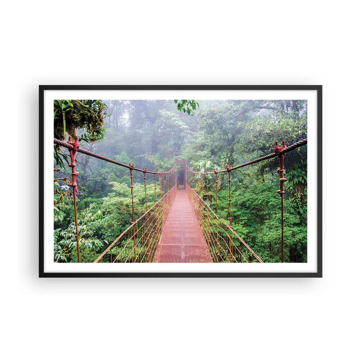 Plakát v černém rámu - Zavěšený nad korunami - 91x61 cm