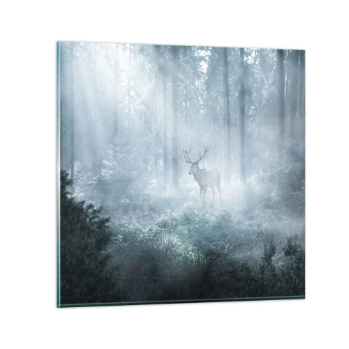 Obraz na skle - Ranní obchůzka sídliště - 50x50 cm