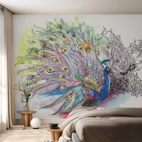 Fototapeta Premium Canvas - S pýchou proti šedi  - Pták, Páv, Peří - 350x256 cm