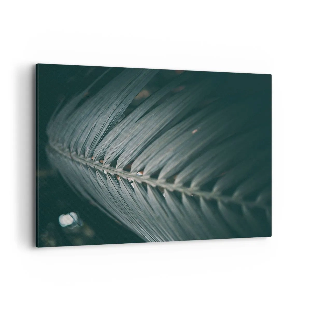 Obraz na plátně - Přesnost přírody - 120x80 cm