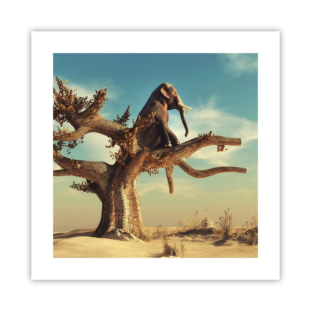 Plakát - Nový úhel pohledu - 40x40 cm