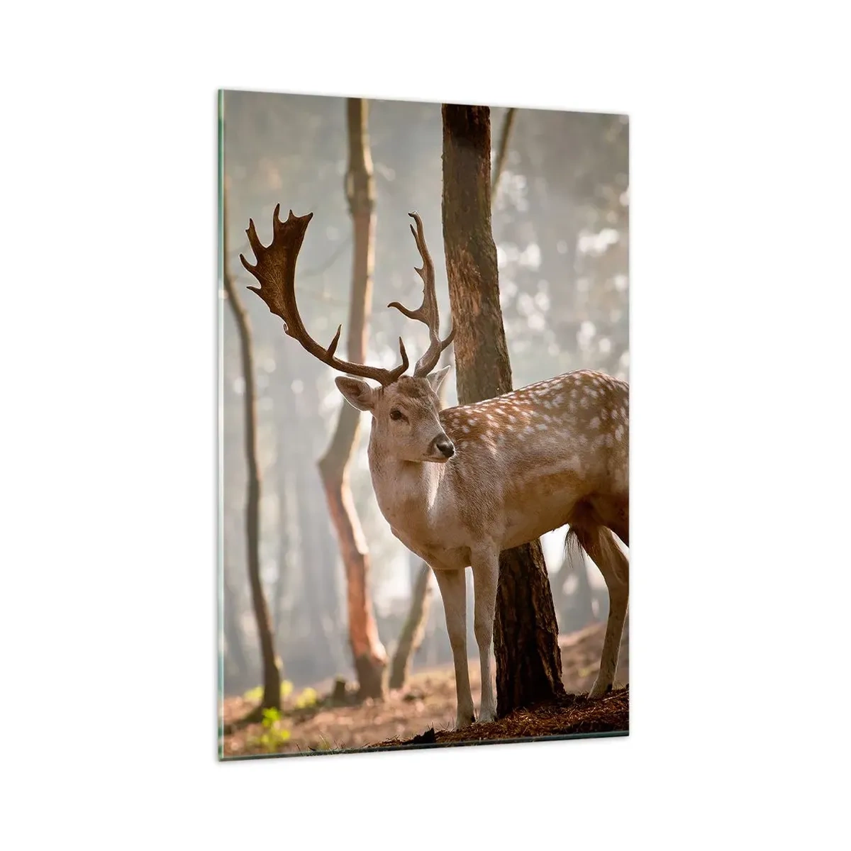 Obraz na skle - Světlo mládí - 80x120 cm