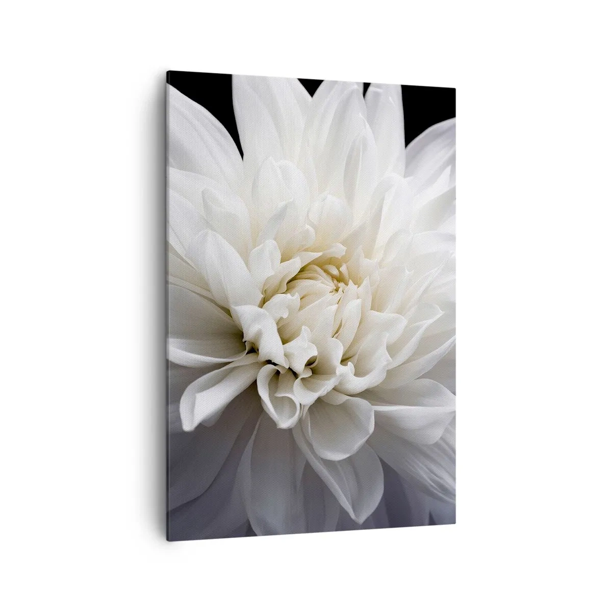 Obraz na plátně - Dopoledne s nevěstou - 70x100 cm