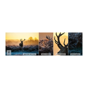 Vzor Fototapety Samolepicí Deluxe Sticker - Korunován na svém panství - Krajina, Zvířata, Jelen - 100x30 cm