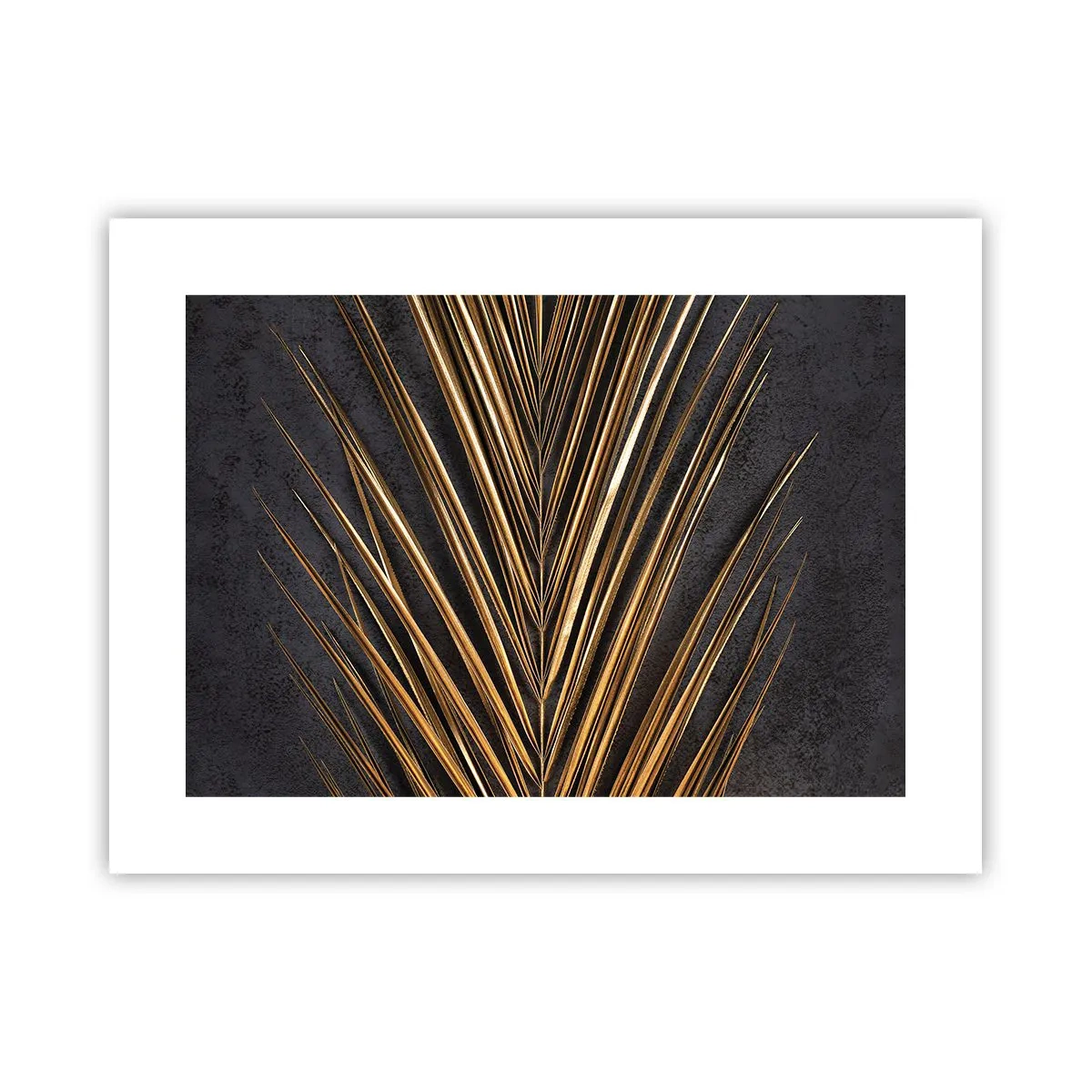 Plakát - Zlato tropů - 40x30 cm
