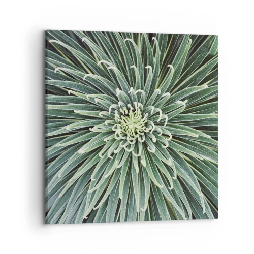 Obraz na plátně - Zrození hvězdy - 70x70 cm