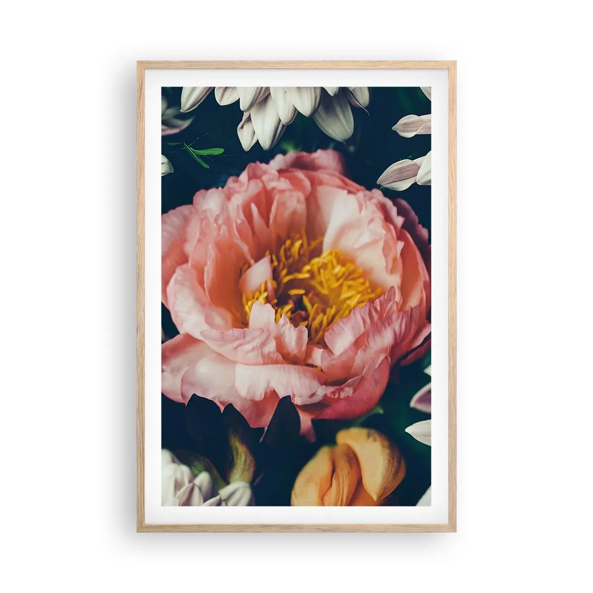 Plakát v rámu světlý dub - S barokním přepychem - 61x91 cm