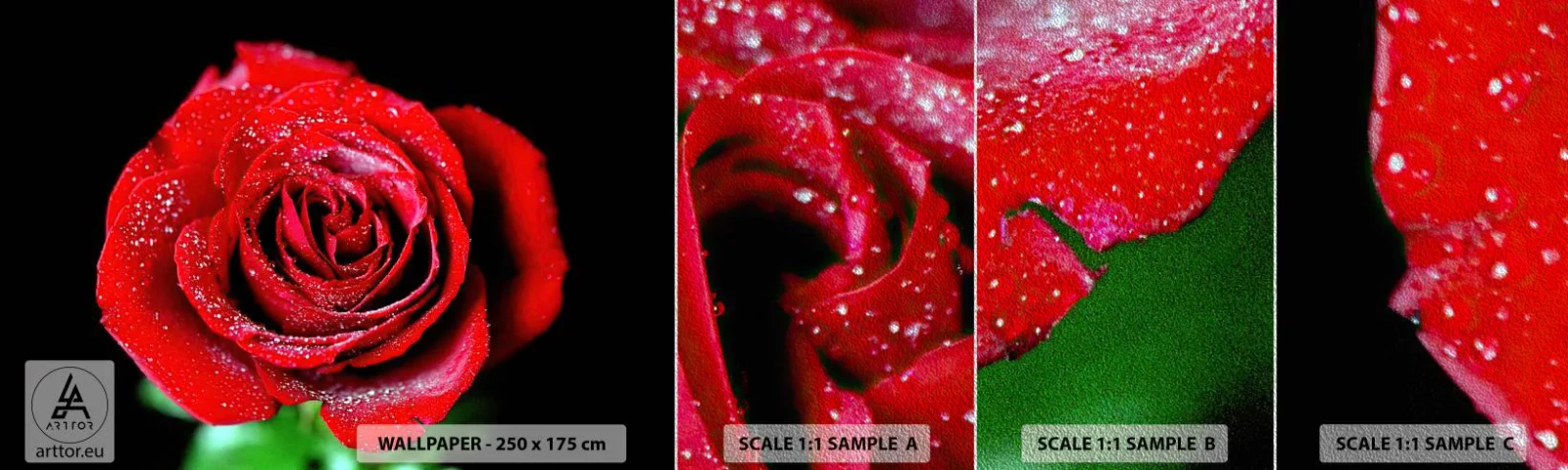 Vzor Fototapety Premium Sand - To je právě láska - Květiny, Červená růže, Okvětní lístky růží - 100x30 cm