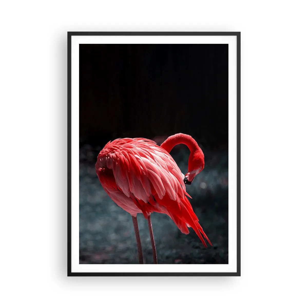 Plakát v černém rámu - Karmínová báseň přírody - 70x100 cm
