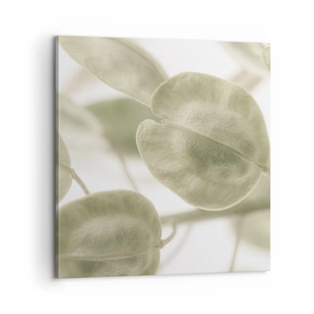 Obraz na plátně - Na začátku bylo listí… - 60x60 cm