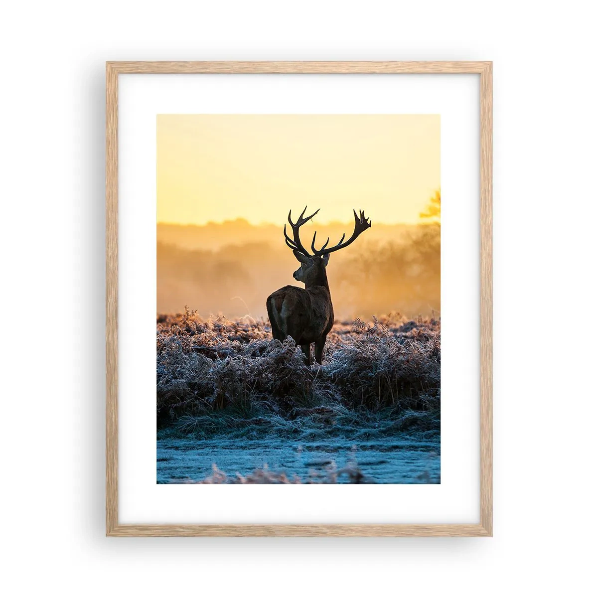 Plakát v rámu světlý dub - Korunován na svém panství - 40x50 cm