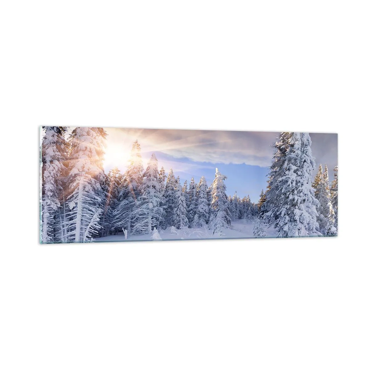 Obraz na skle - Sněžné představení přírody - 90x30 cm