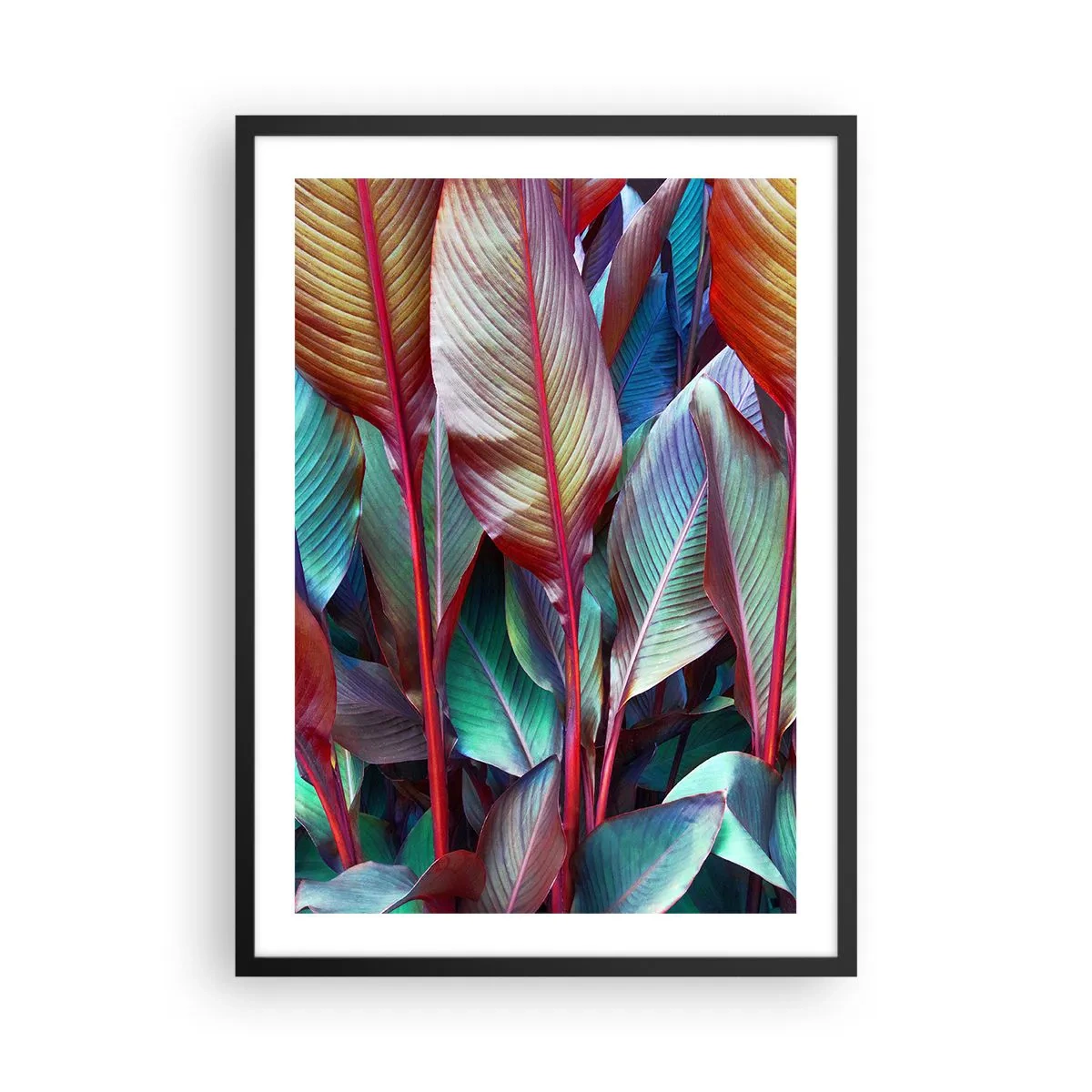 Plakát v černém rámu - Barevné listy tropické rostliny v sytých barvách - 50x70cm - Barevná houština - Moderní nástěnná dekorace do obývacího pokoje a ložnice ARTTOR