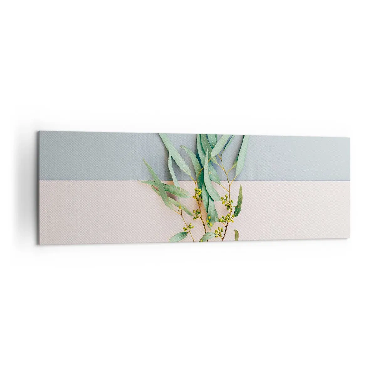 Obraz na plátně - Pastelová jemnost - 160x50 cm