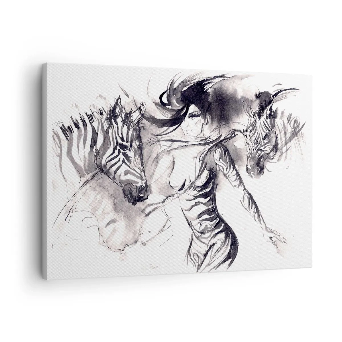 Obraz na plátně - Žena v dynamickém tanci se zebrami v černobílé estetice - 70x50cm - Tančící se zebrami - Moderní nástěnná dekorace do obývacího pokoje a ložnice ARTTOR