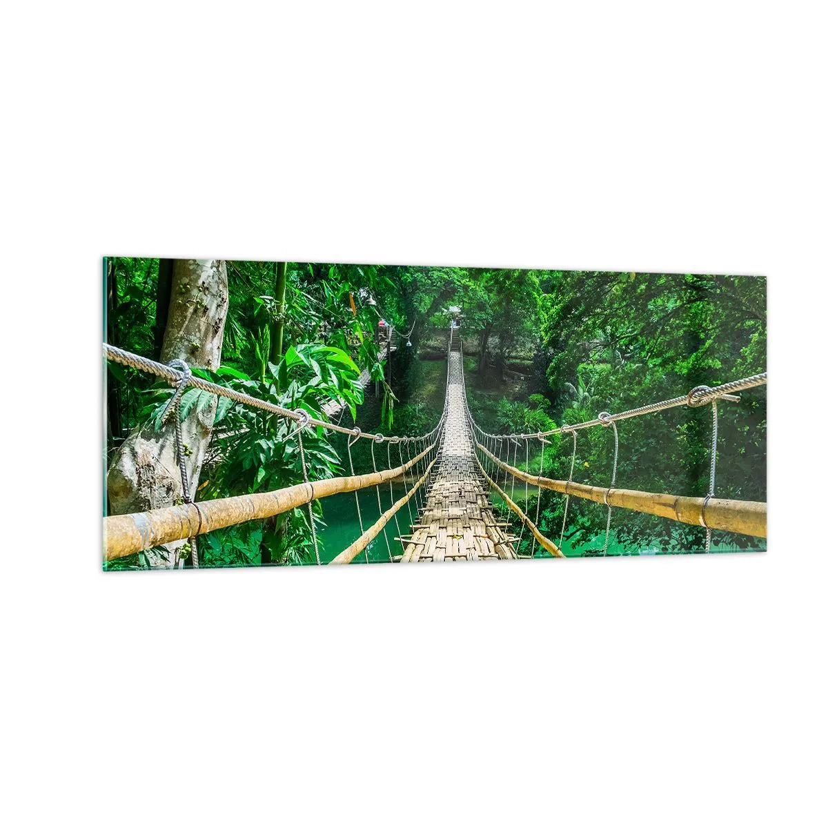 Obraz na skle - Opičí most nad zelení - 100x40 cm