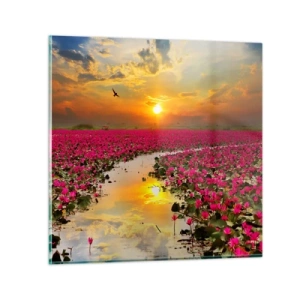 Obraz na skle - Tajemný život jezera - 50x50 cm