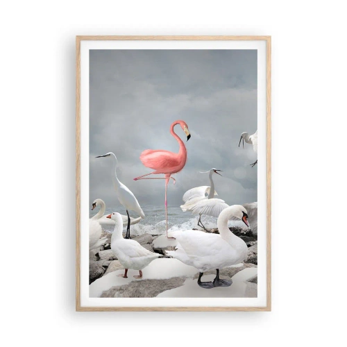 Plakát v rámu světlý dub - Kde jsem se tu vzal? - 70x100 cm