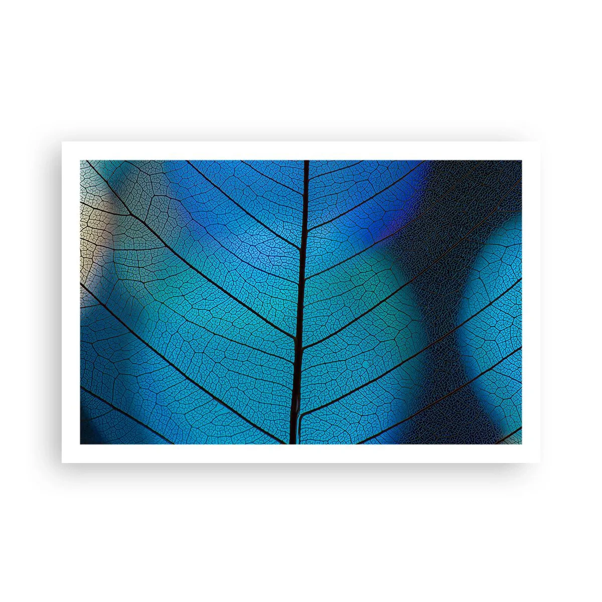 Plakát - Až do detailů - 91x61 cm