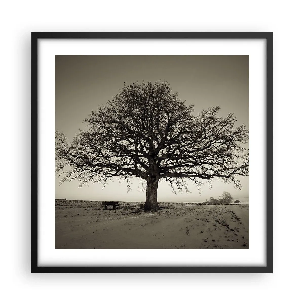 Plakát v černém rámu - Odtud až na věčnost - 50x50 cm