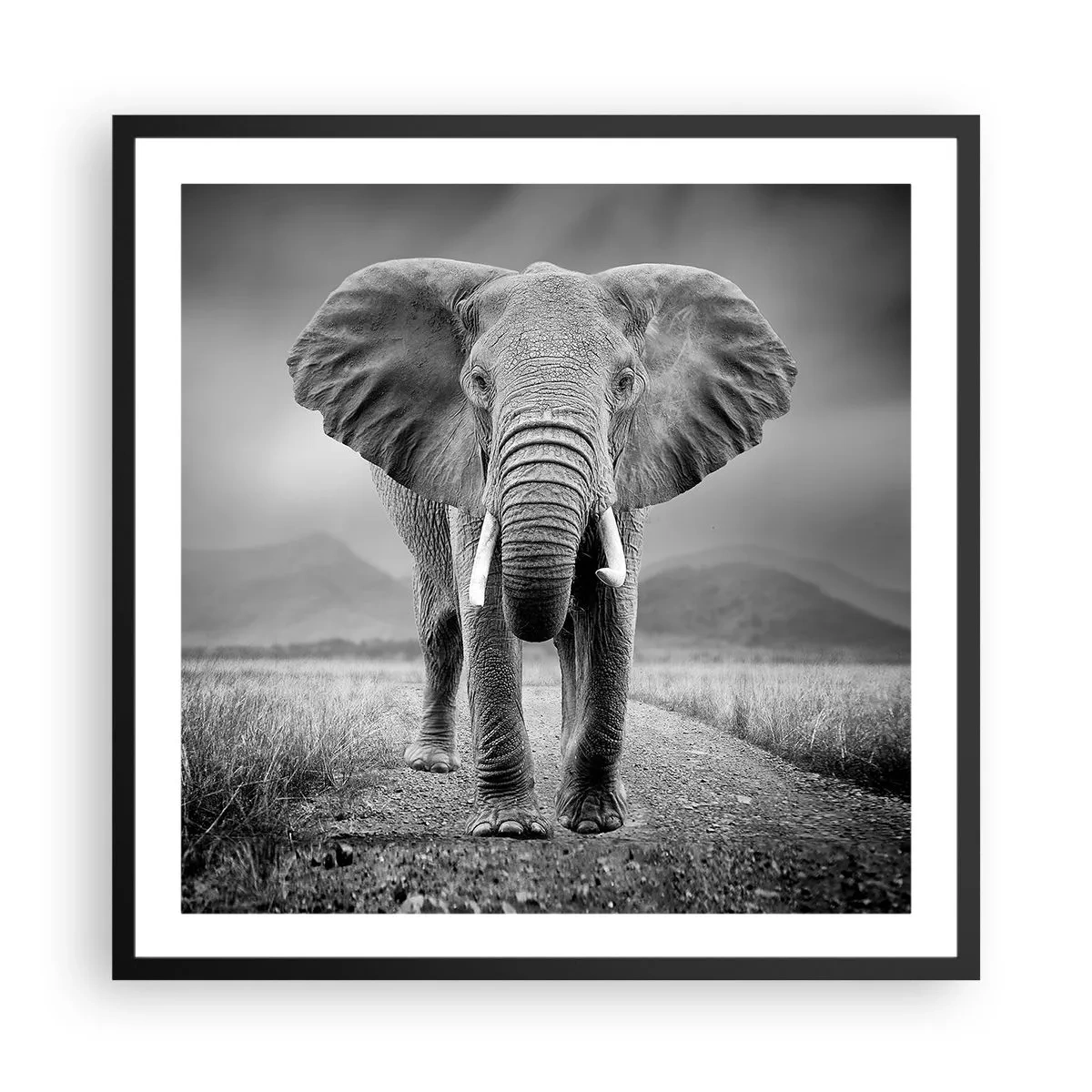 Plakát v černém rámu - Hostitel vítá - 60x60 cm