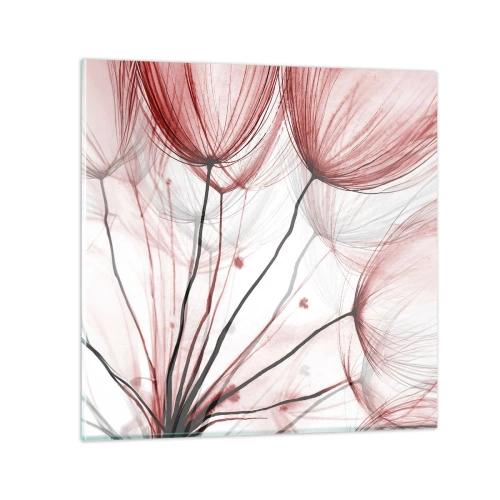 Obraz na skle - Před odletem - 50x50 cm