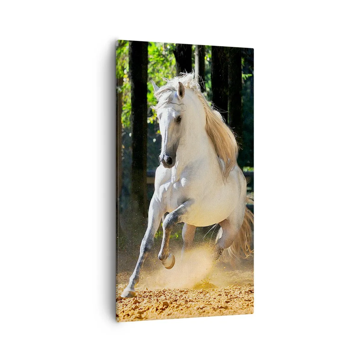 Obraz na plátně - Jako z fantasy románu - 55x100 cm