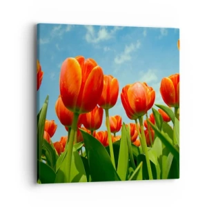 Obraz na plátně - Kromě blankytného nebe nic v životě nepotřebují - 40x40 cm