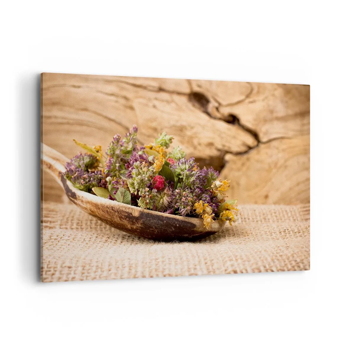 Obraz na plátně - Barevné kvítí a voňavé bylinky - 120x80 cm