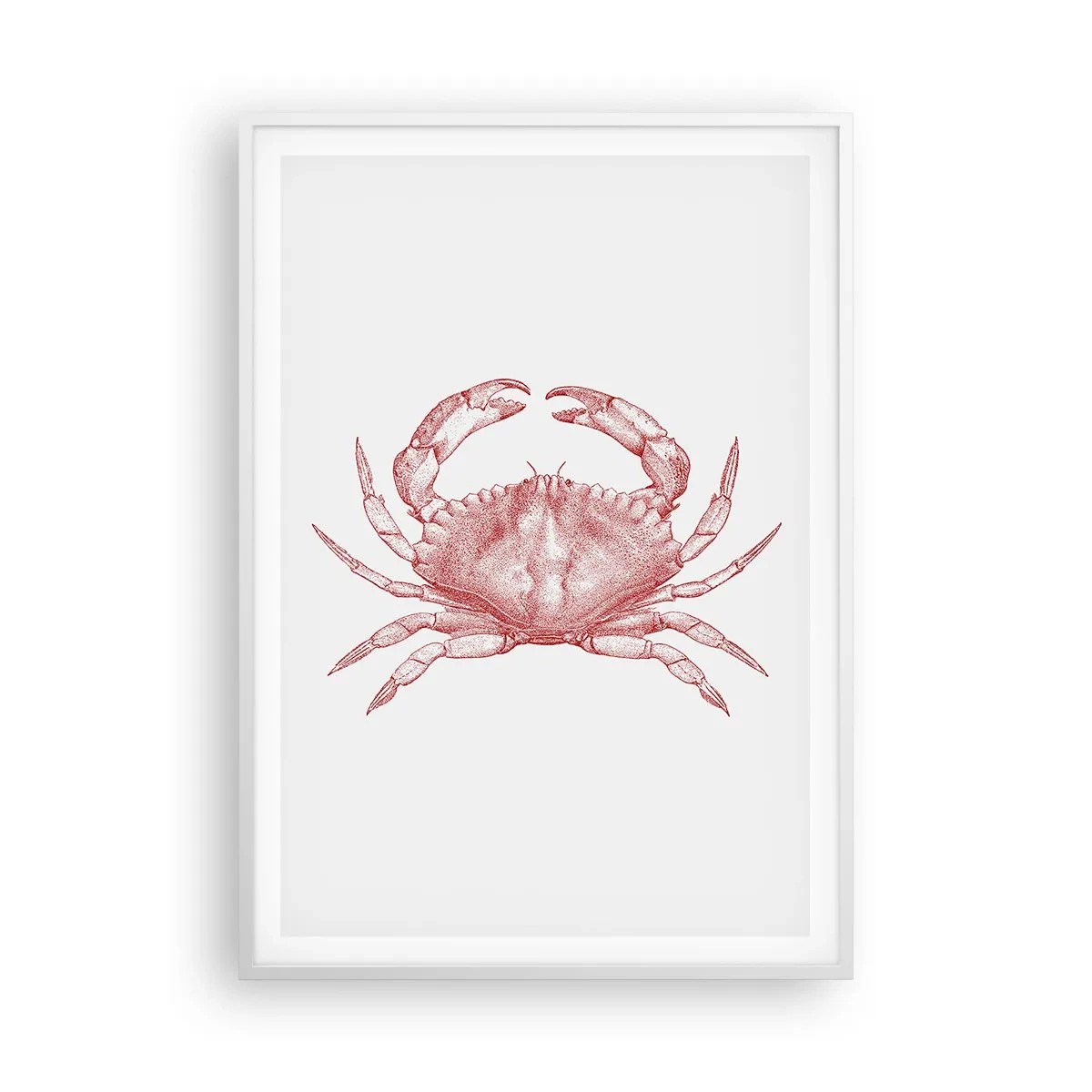 Plakát v bílém rámu - Krab nad kraby - 70x100 cm