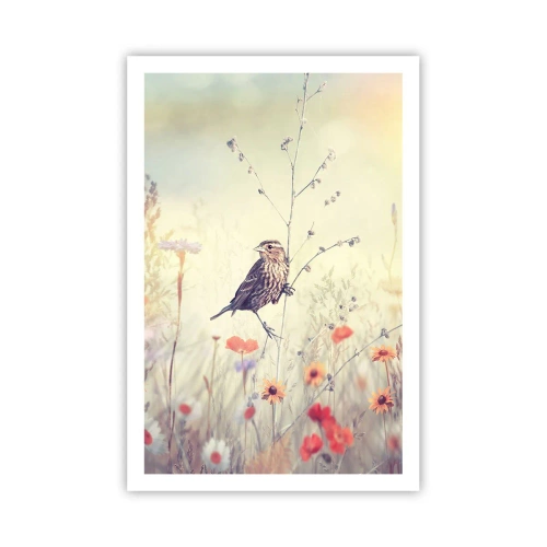 Plakát - Portrét ptáka s loukou v pozadí - 61x91 cm