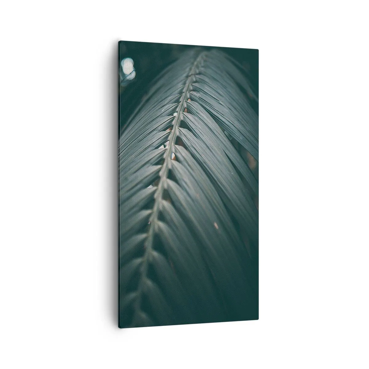 Obraz na plátně - Přesnost přírody - 55x100 cm