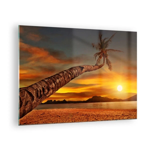 Obraz na skle - Palma na tropické pláži při západu slunce - 70x50cm - Exotické prázdniny, karibské dobrodružství - Moderní nástěnná dekorace do obývacího pokoje a ložnice ARTTOR