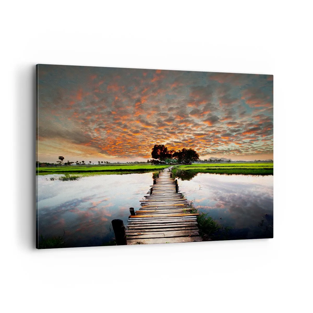 Obraz na plátně - Roztáhněte ruce - dýchejte  - 100x70 cm
