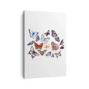 Obraz na plátně - Krajkový, barevný roj - 70x100 cm