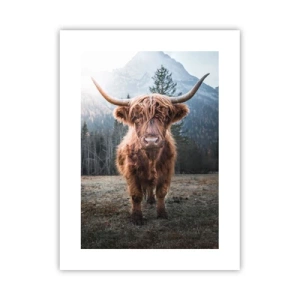 Plakát - Pozdravy z horské louky - 30x40 cm