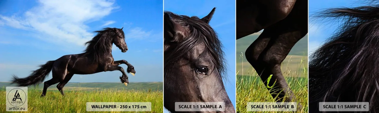 Vzor Fototapety Samolepicí Deluxe Sticker - Strhující manifest svobody - Zvířata, Kůň, Krajina - 100x30 cm