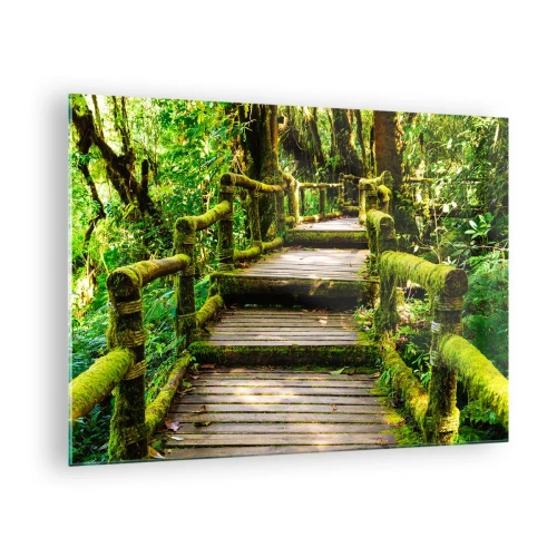 Obraz na skle - Dřevěná cesta v zeleném lese pokrytá mechem - 70x50cm - Chodbou zeleně - Moderní nástěnná dekorace do obývacího pokoje a ložnice ARTTOR