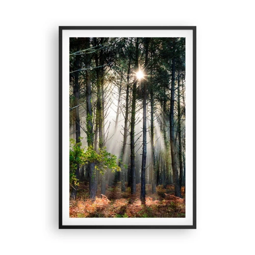 Plakát v černém rámu - Lesní divočina - 61x91 cm