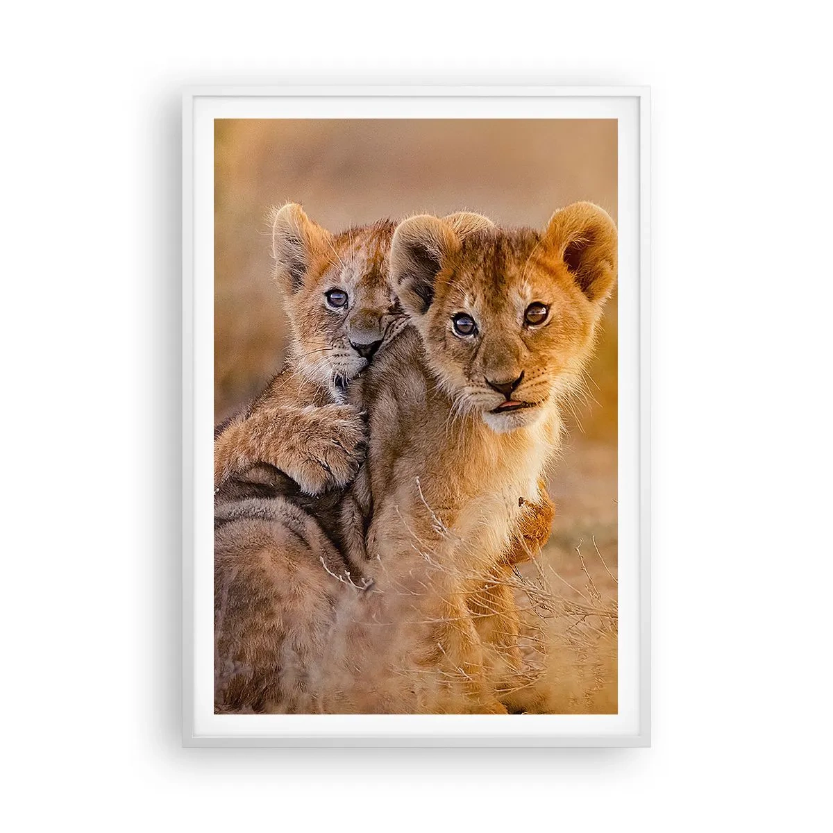 Plakát v bílém rámu - Nevyrušovat! Hrajme si - 70x100 cm