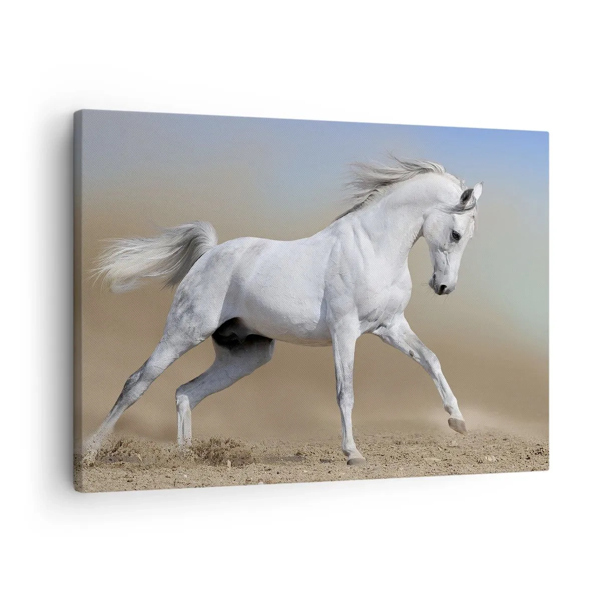 Obraz na plátně - Bílý kůň cválající pouštní krajinou - 70x50cm - Nejkrásnější arabská pohádka - Moderní nástěnná dekorace do obývacího pokoje a ložnice ARTTOR