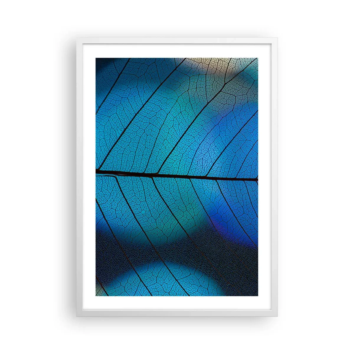 Plakát v bílém rámu - Až do detailů - 50x70 cm