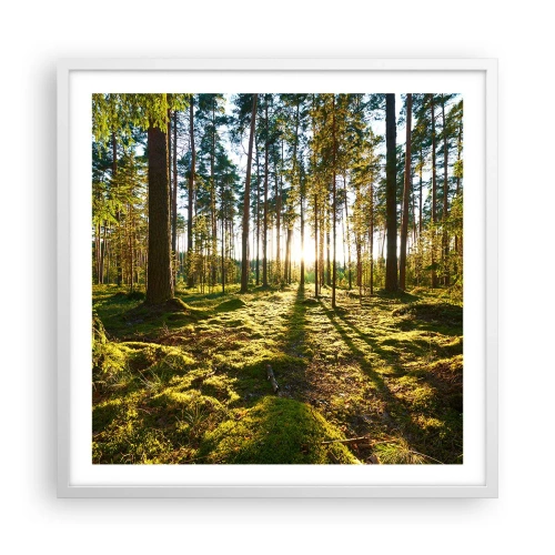 Plakát v bílém rámu - …Za sedmero lesy - 60x60 cm